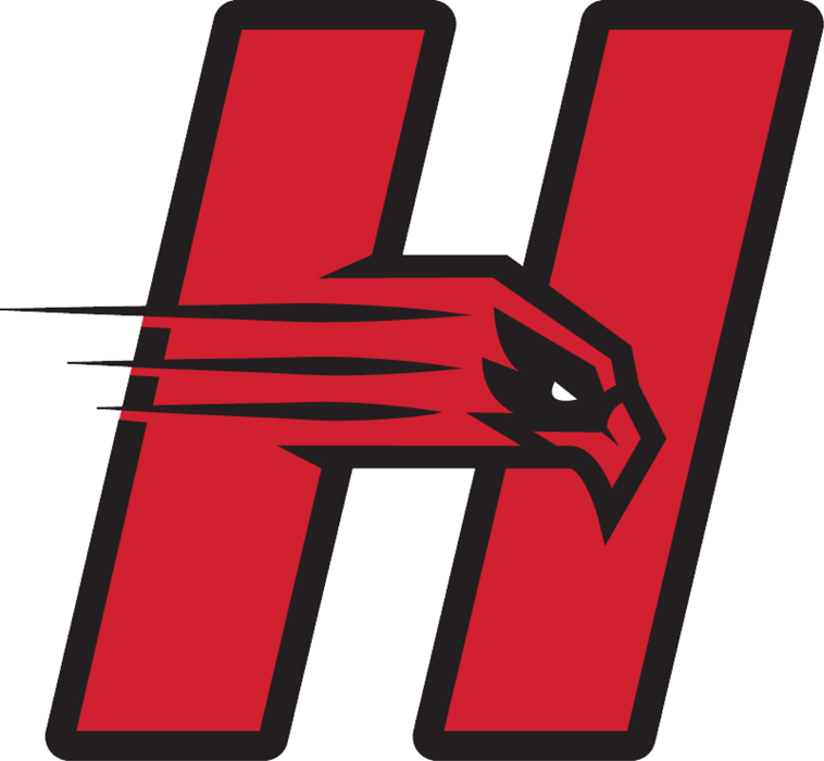 Hartford Hawks iron ons